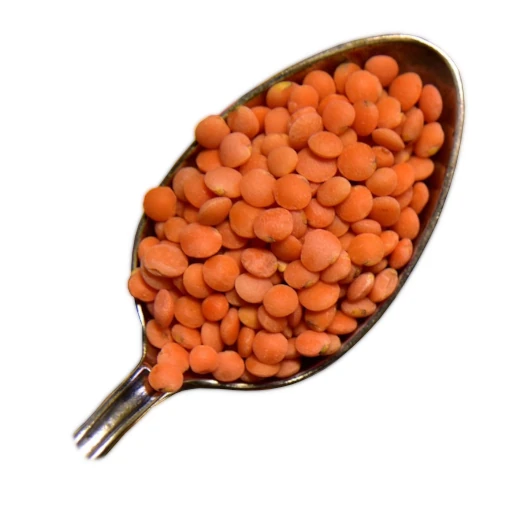 lentil-red