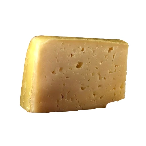 Cheese Tilsit