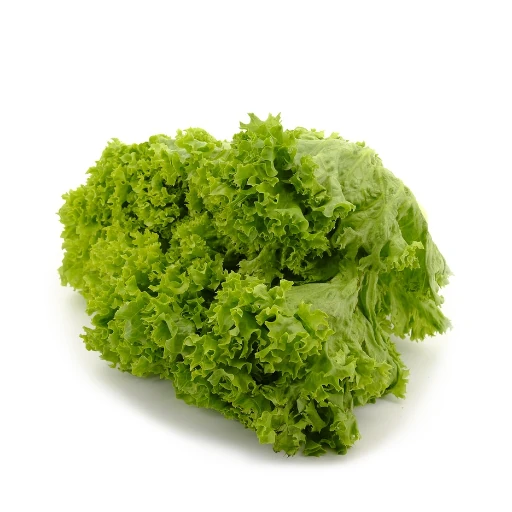 Vihreä salaatti