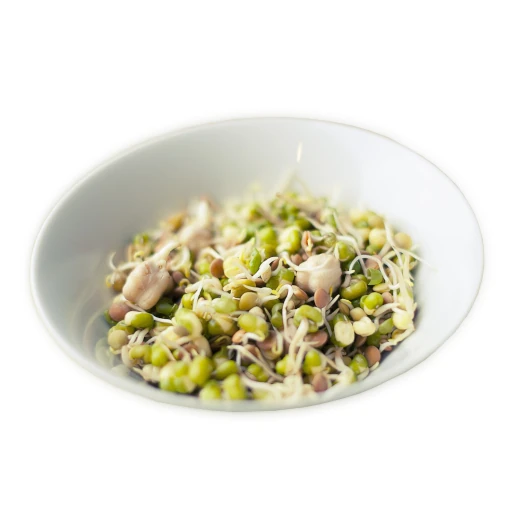 Soybean Sprout